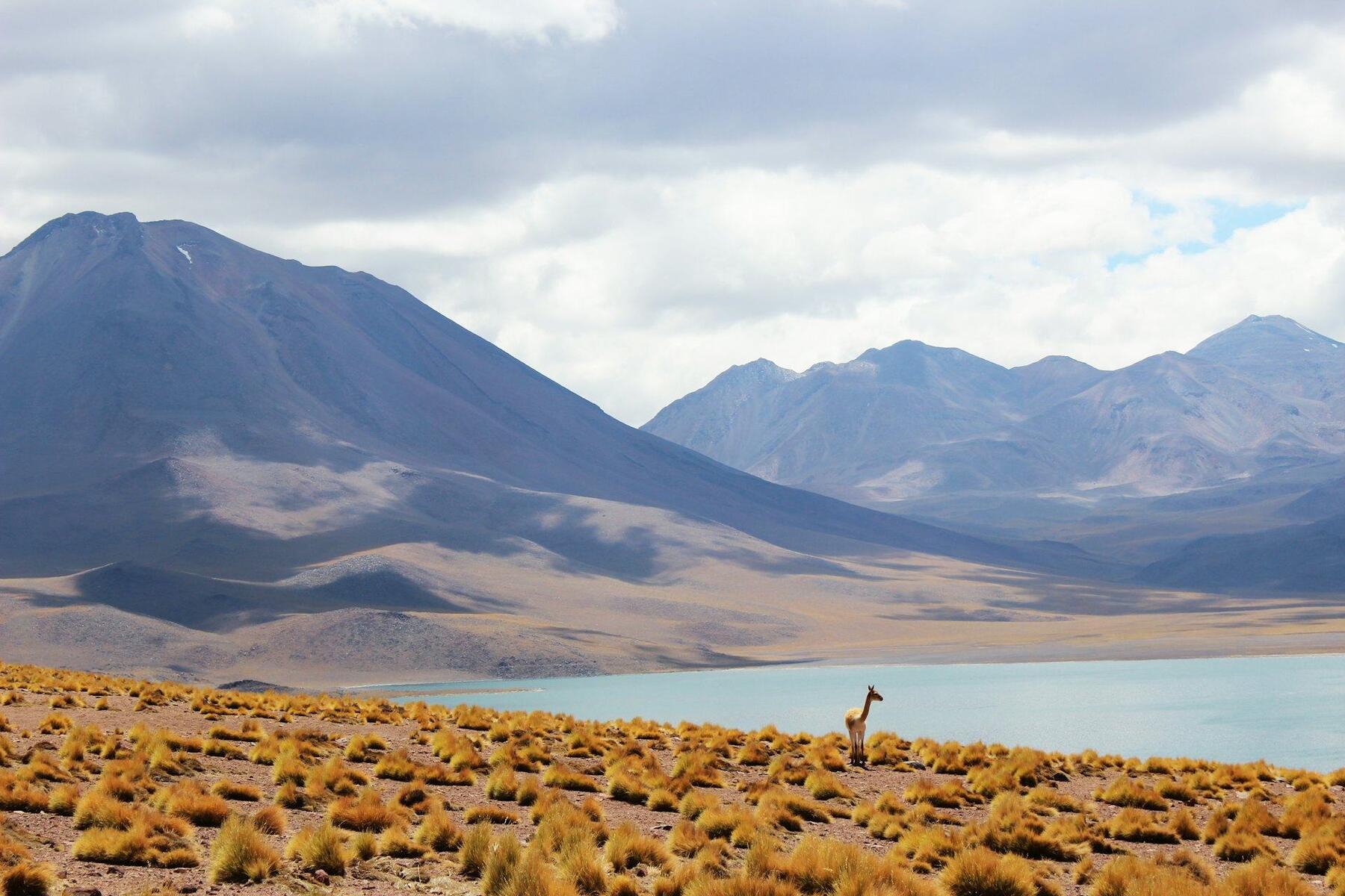 Lagoa altiplânica cercada de montanhas no altiplano do deserto do Atacama