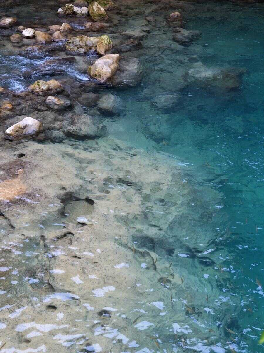 Águas transparentes correndo sobre o leito de pedras de um rio